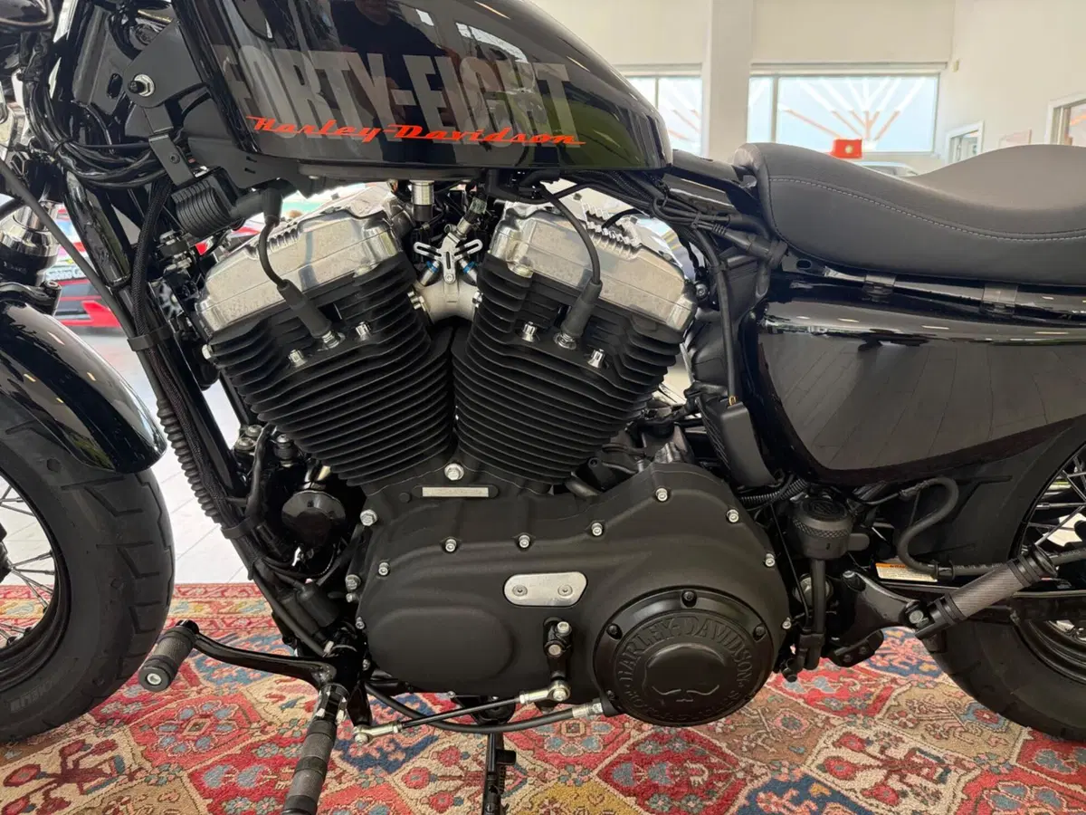 Harley-Davidson 1200 Forty-Eight (2010 - 15) (7)