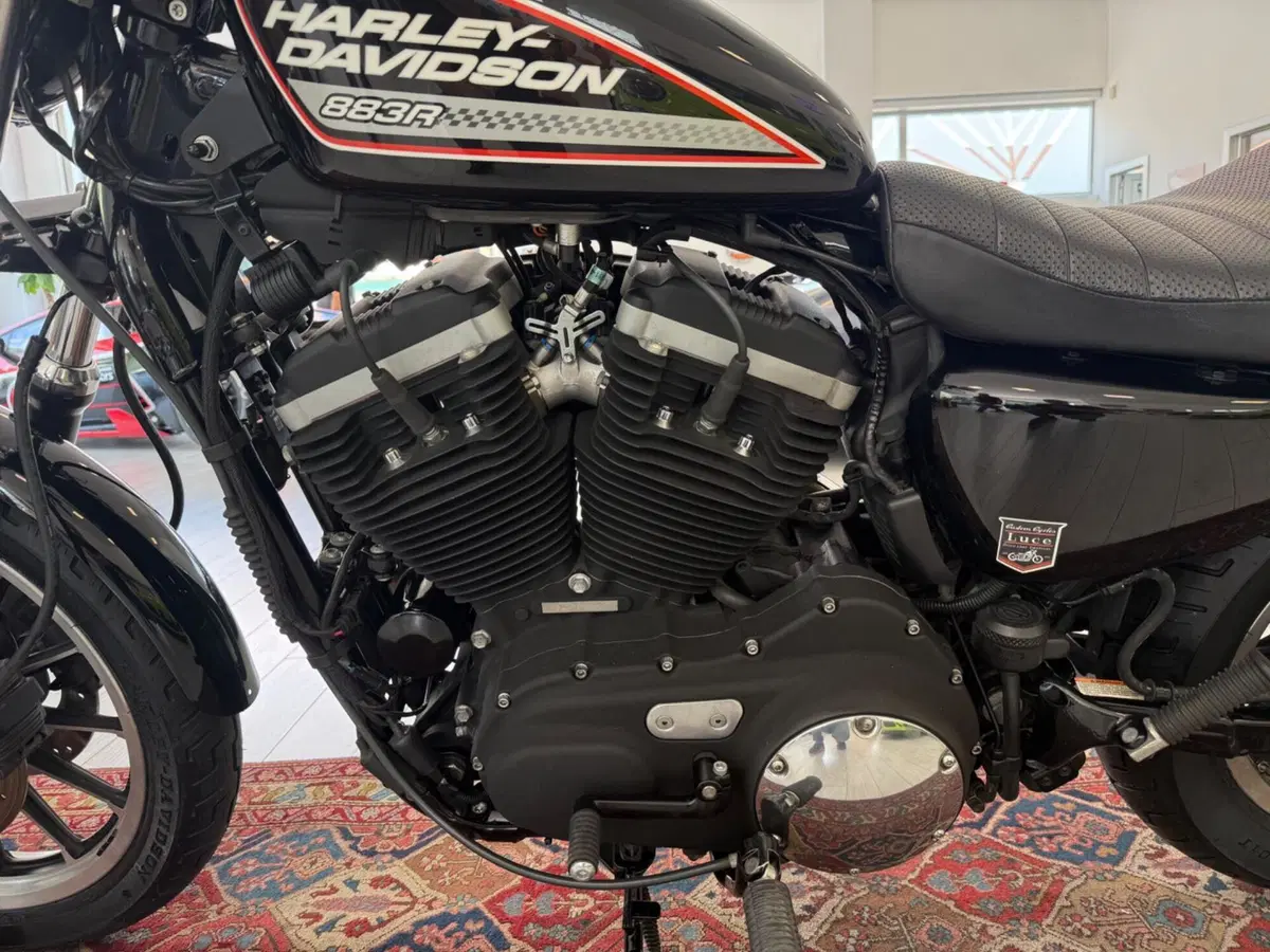 Harley-Davidson 883 R (2008 - 16) - XL 883R (7)