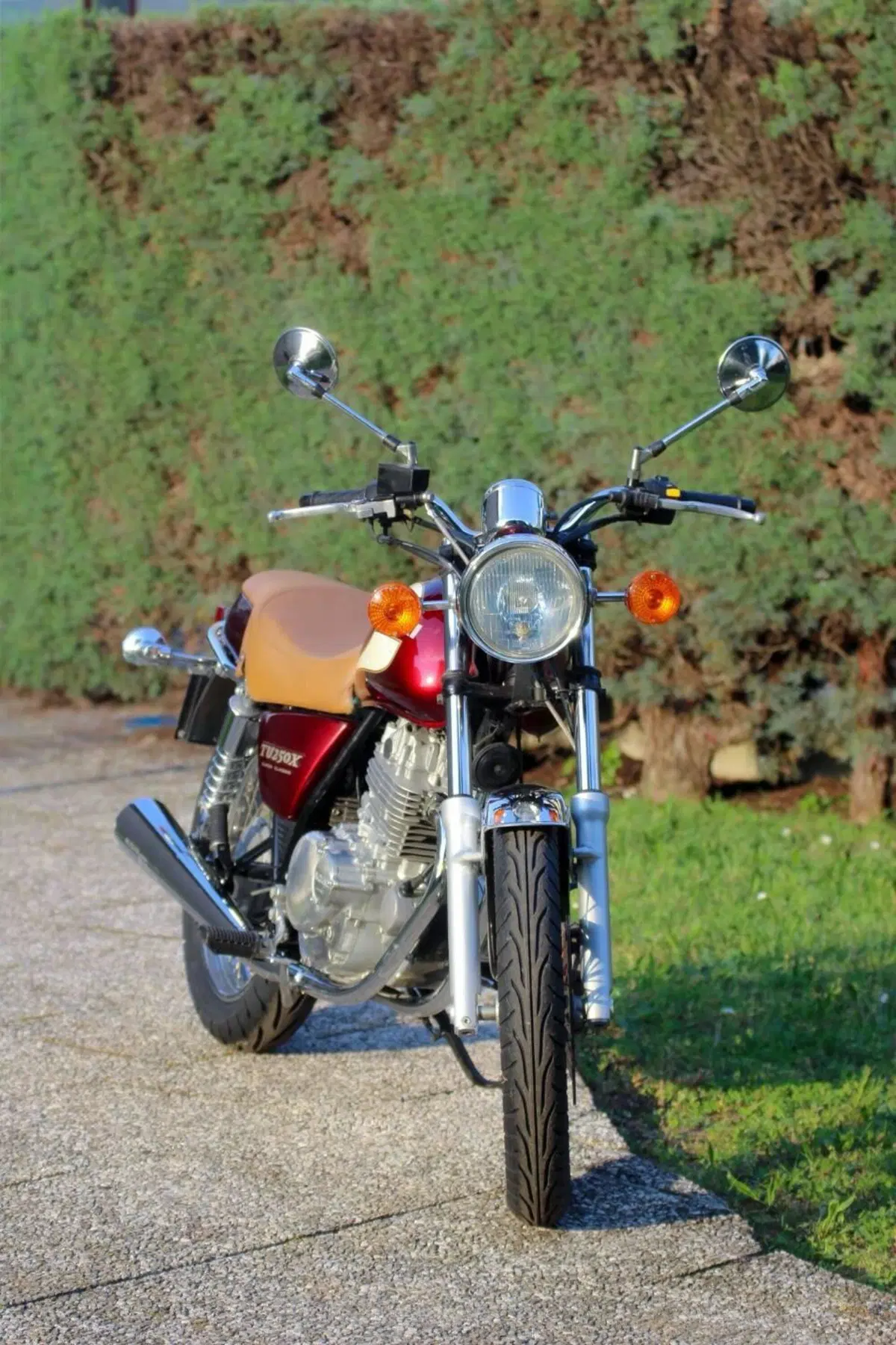Suzuki TU 250 X (1997 - 03)