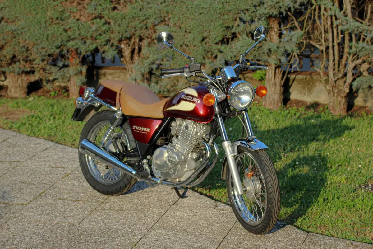 Suzuki TU 250 X (1997 - 03) (18)