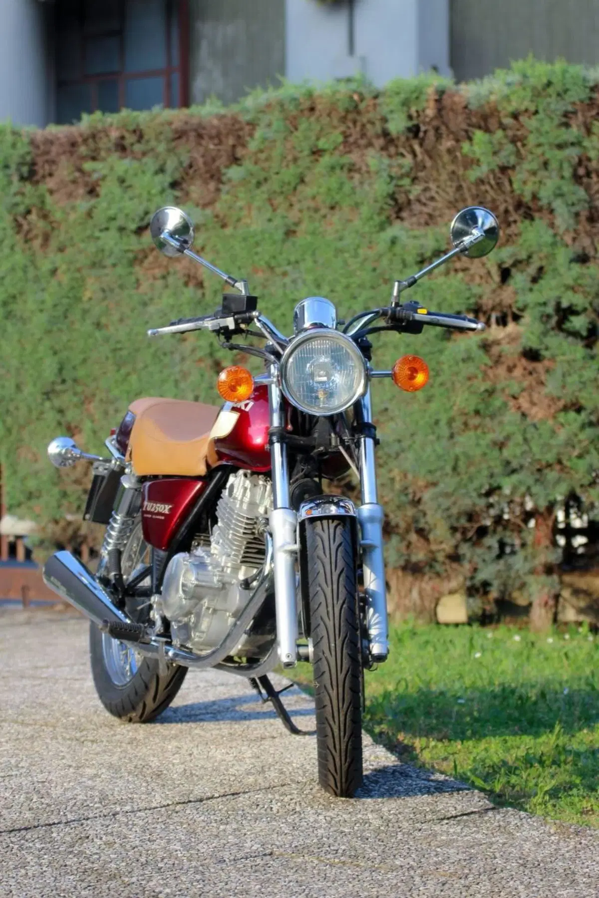 Suzuki TU 250 X (1997 - 03) (19)