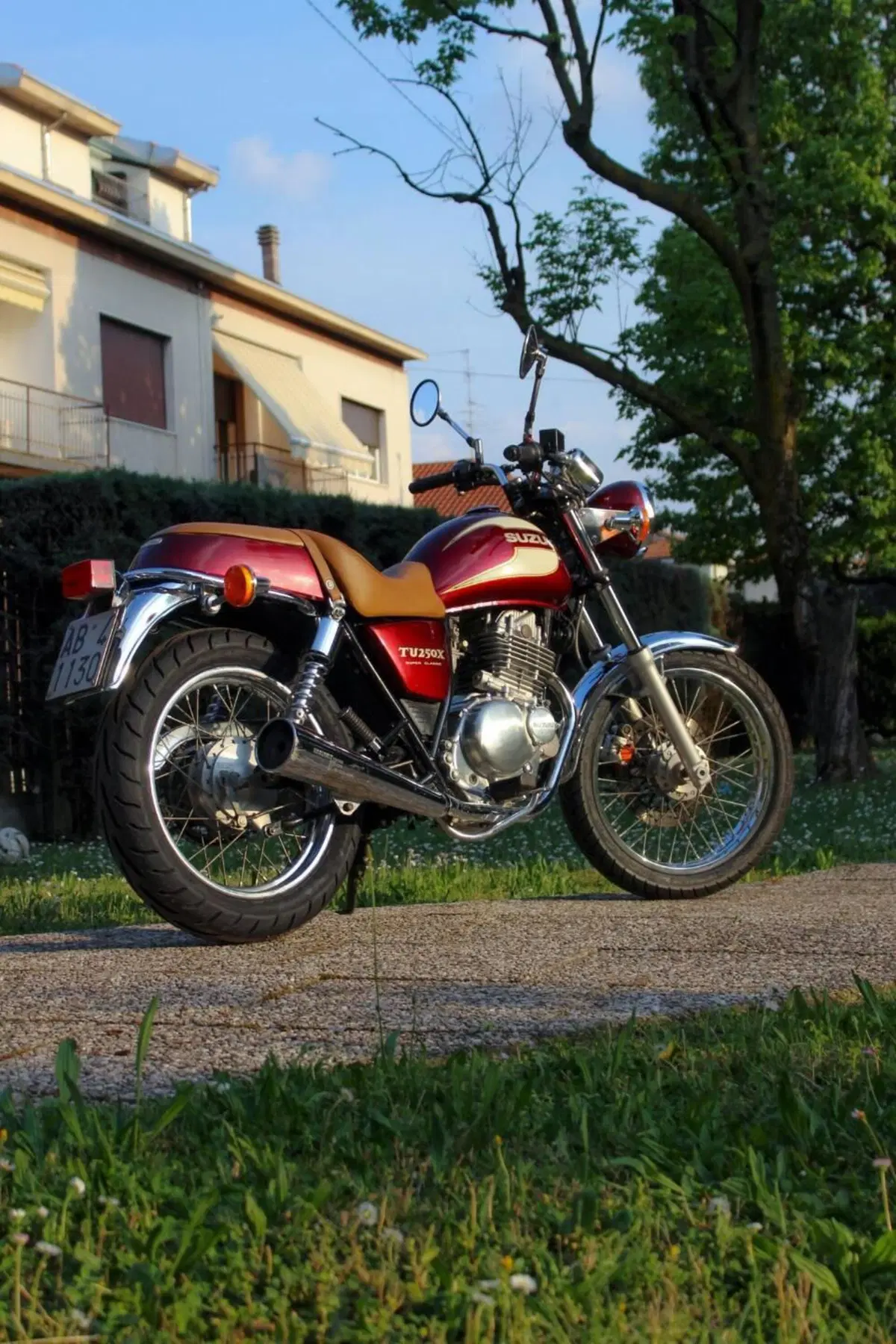 Suzuki TU 250 X (1997 - 03) (20)