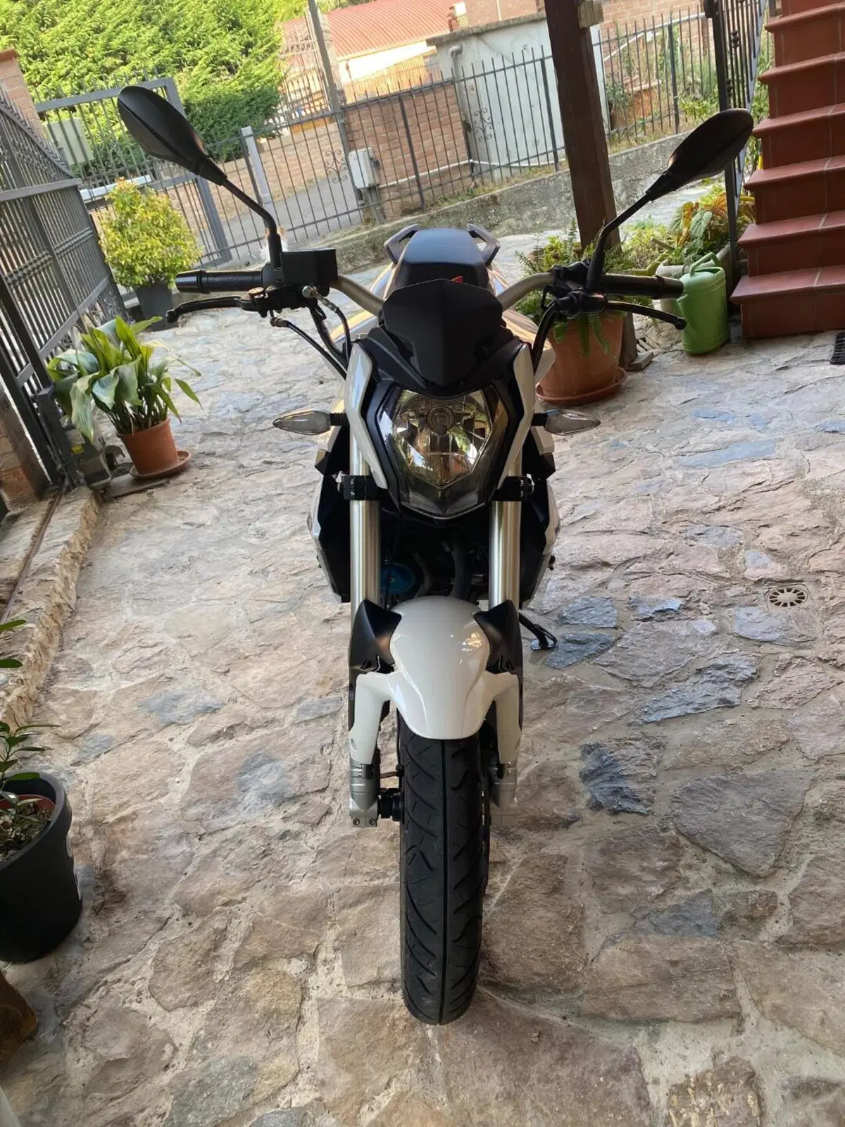 Benelli BN 125 (2018 - 20) (2)