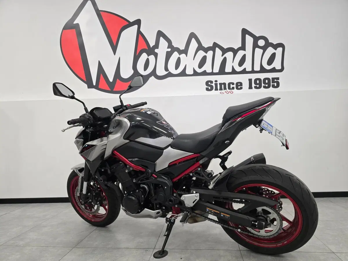 Kawasaki Z 900 A2 (2021 - 24) (3)