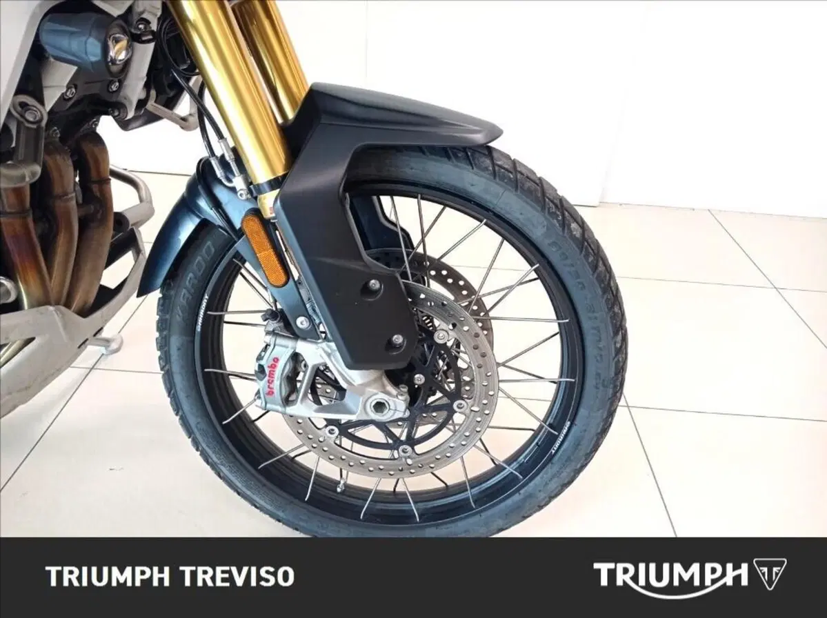 Triumph Tiger 1200 Rally Pro (2022 - 23) (5)