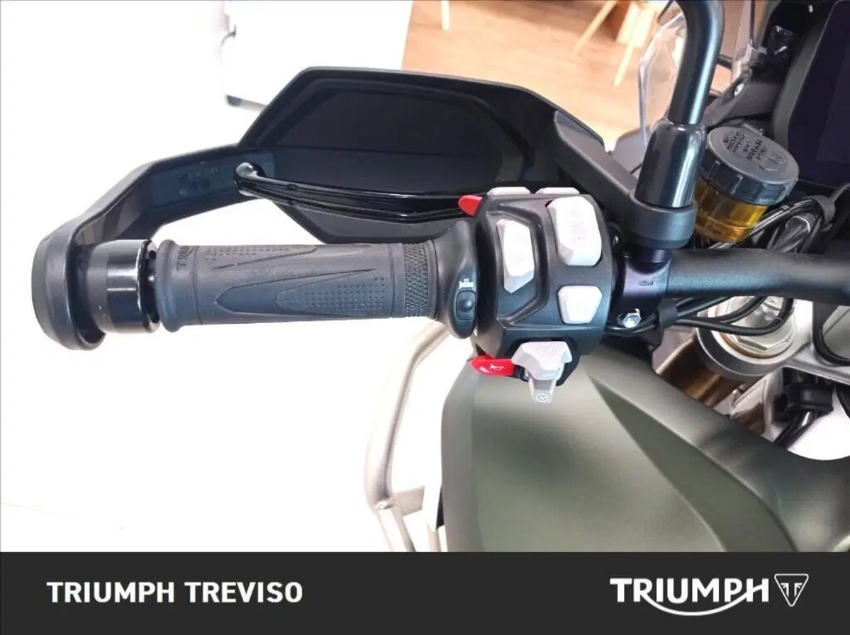 Triumph Tiger 1200 Rally Pro (2022 - 23) (4)