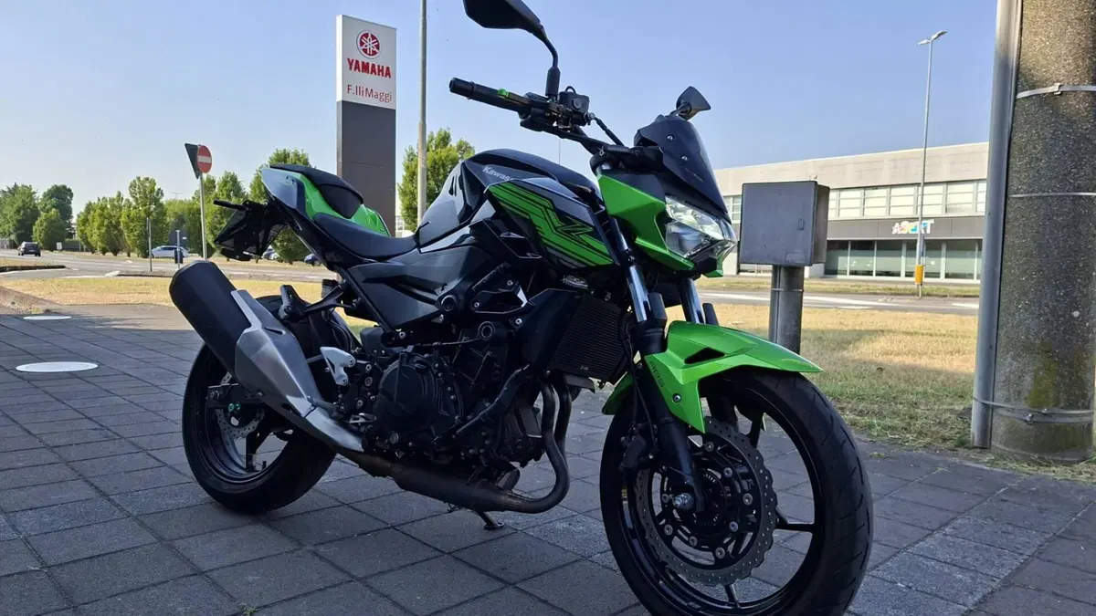 Kawasaki Z 400 (2019 - 20) (2)