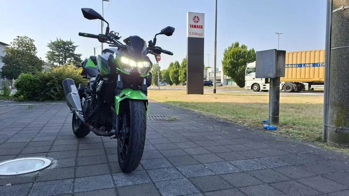 Kawasaki Z 400 (2019 - 20) (3)