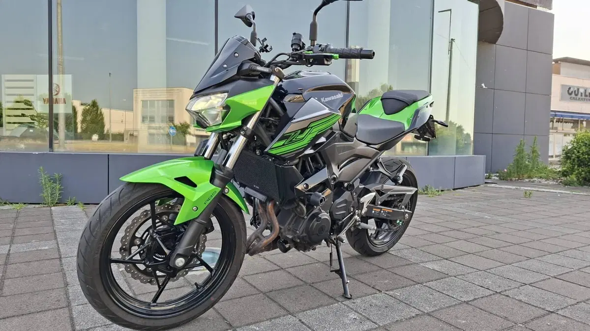 Kawasaki Z 400 (2019 - 20) (4)