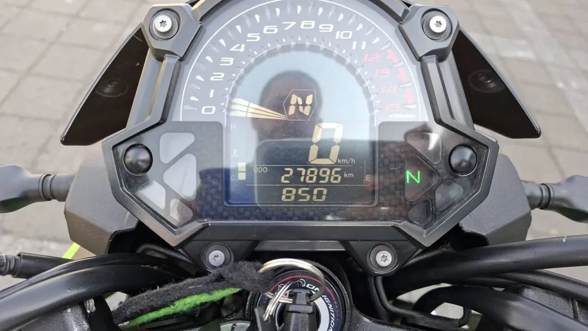 Kawasaki Z 400 (2019 - 20) (6)