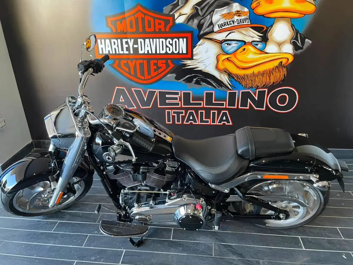Harley-Davidson Fat Boy 117 (2025 - 26) (2)