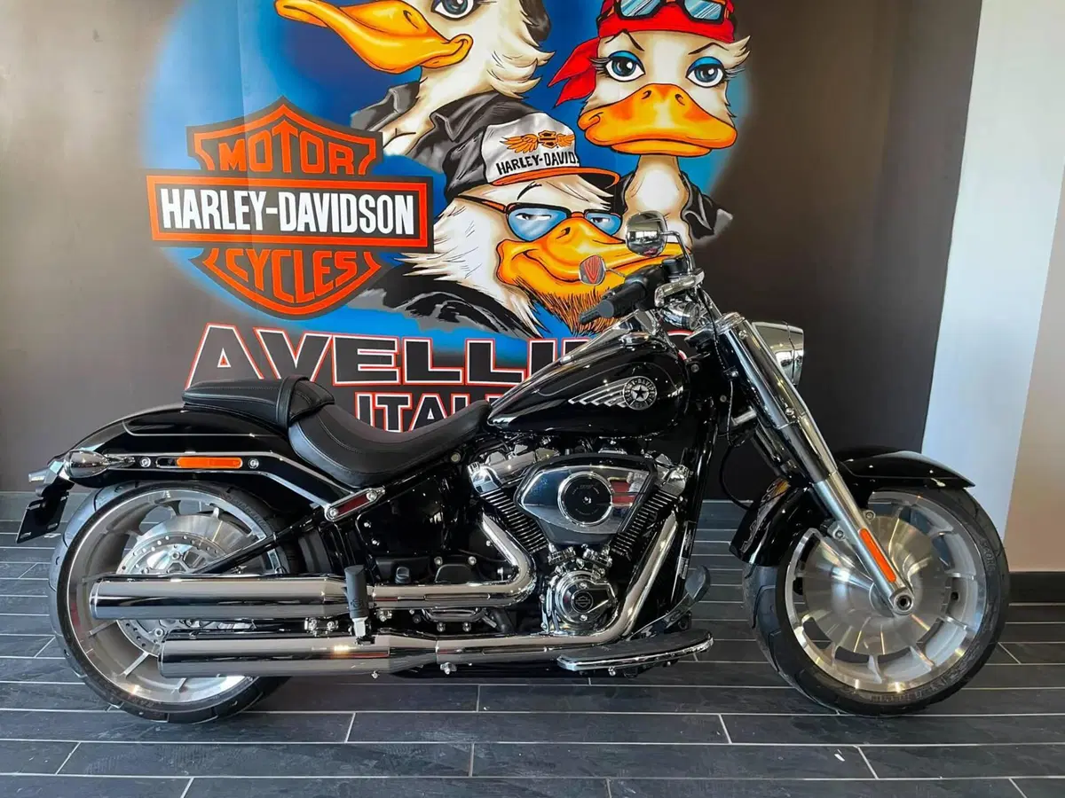 Harley-Davidson Fat Boy 117 (2025 - 26) (3)