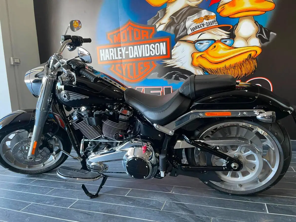 Harley-Davidson Fat Boy 117 (2025 - 26) (4)