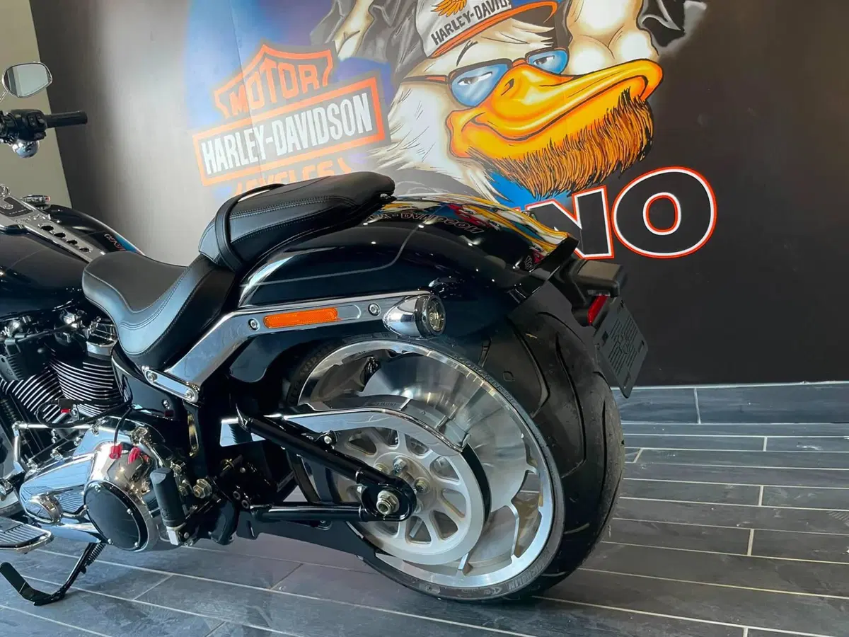 Harley-Davidson Fat Boy 117 (2025 - 26) (5)