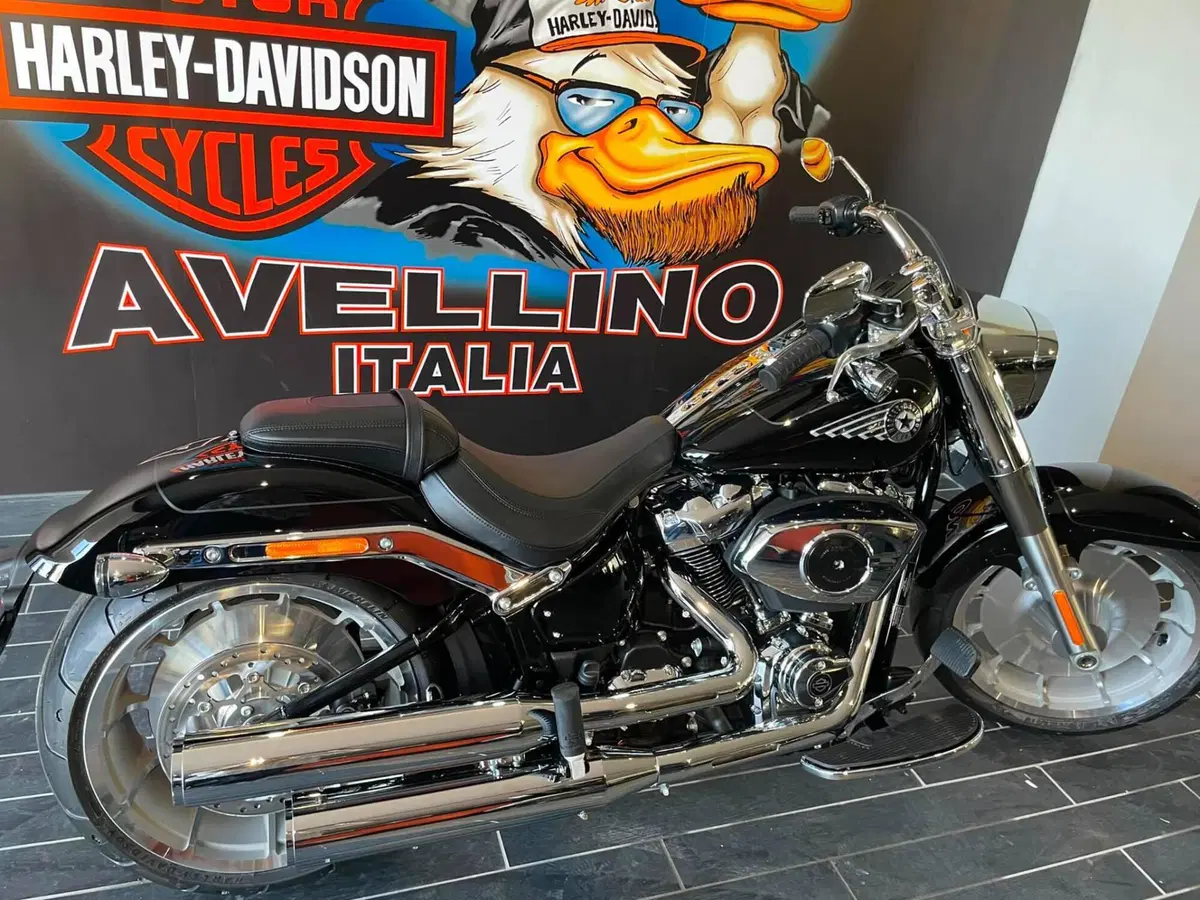 Harley-Davidson Fat Boy 117 (2025 - 26) (6)