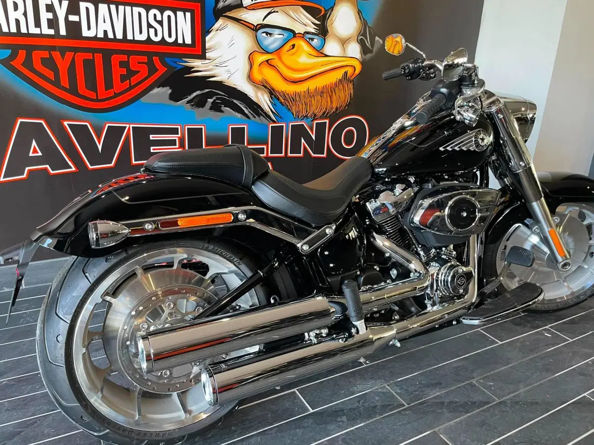 Harley-Davidson Fat Boy 117 (2025 - 26) (7)