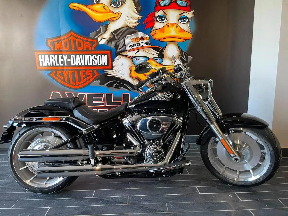 Harley-Davidson Fat Boy 117 (2025 - 26) (8)
