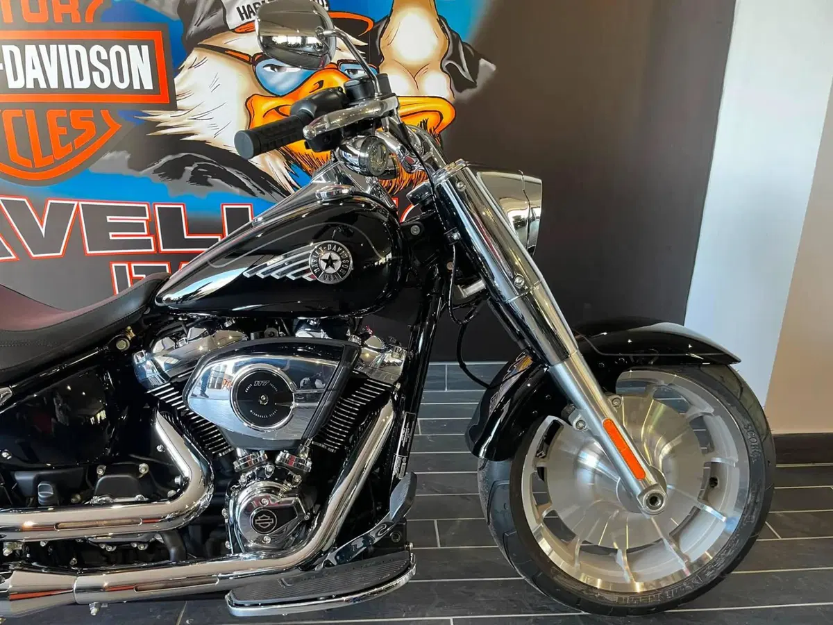 Harley-Davidson Fat Boy 117 (2025 - 26) (9)