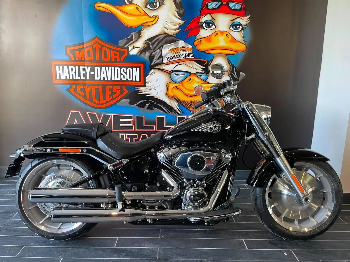 Harley-Davidson Fat Boy 117 (2025 - 26) (10)