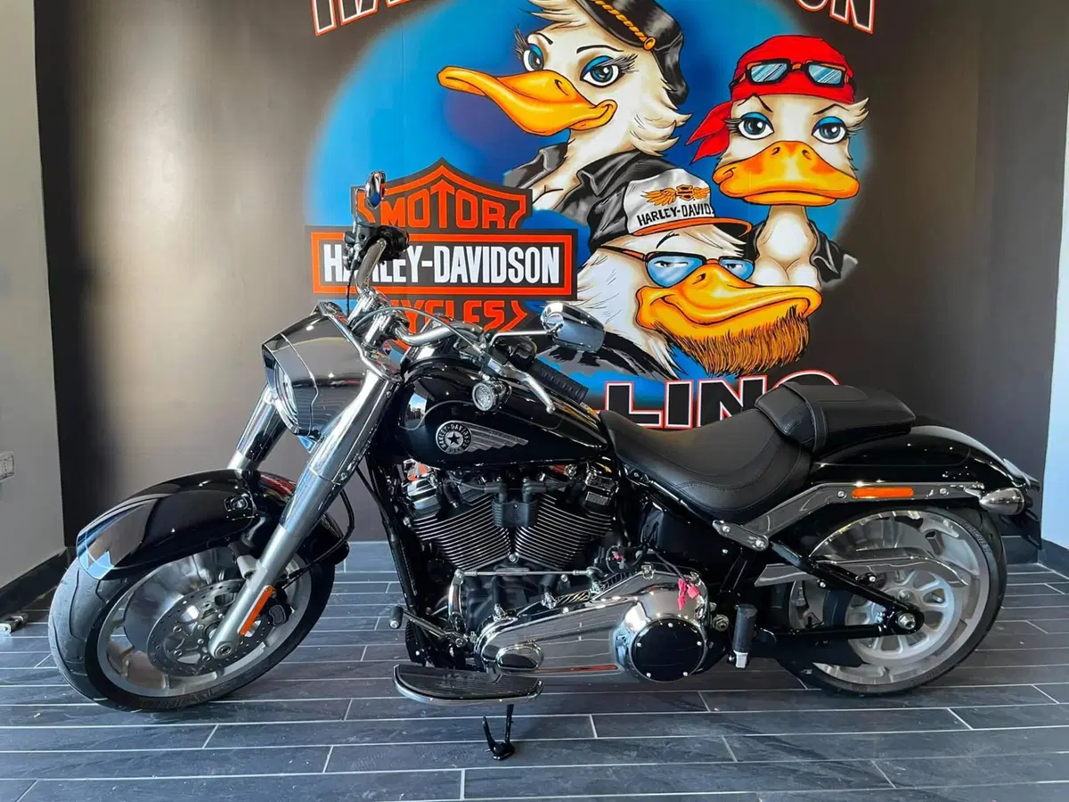 Harley-Davidson Fat Boy 117 (2025 - 26) (11)
