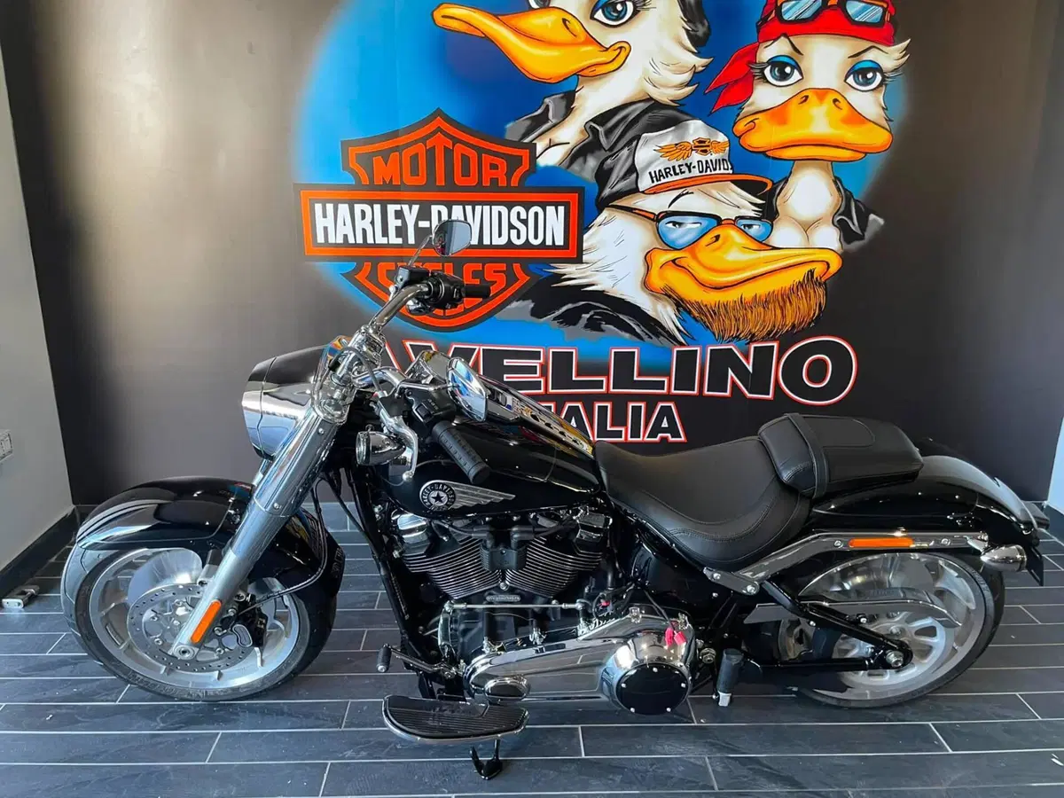 Harley-Davidson Fat Boy 117 (2025 - 26) (12)