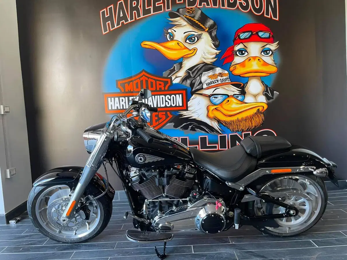 Harley-Davidson Fat Boy 117 (2025 - 26) (13)