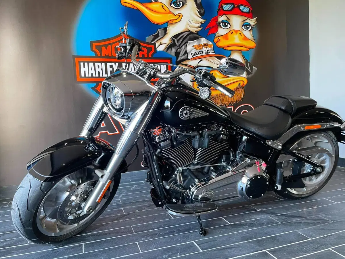 Harley-Davidson Fat Boy 117 (2025 - 26) (14)