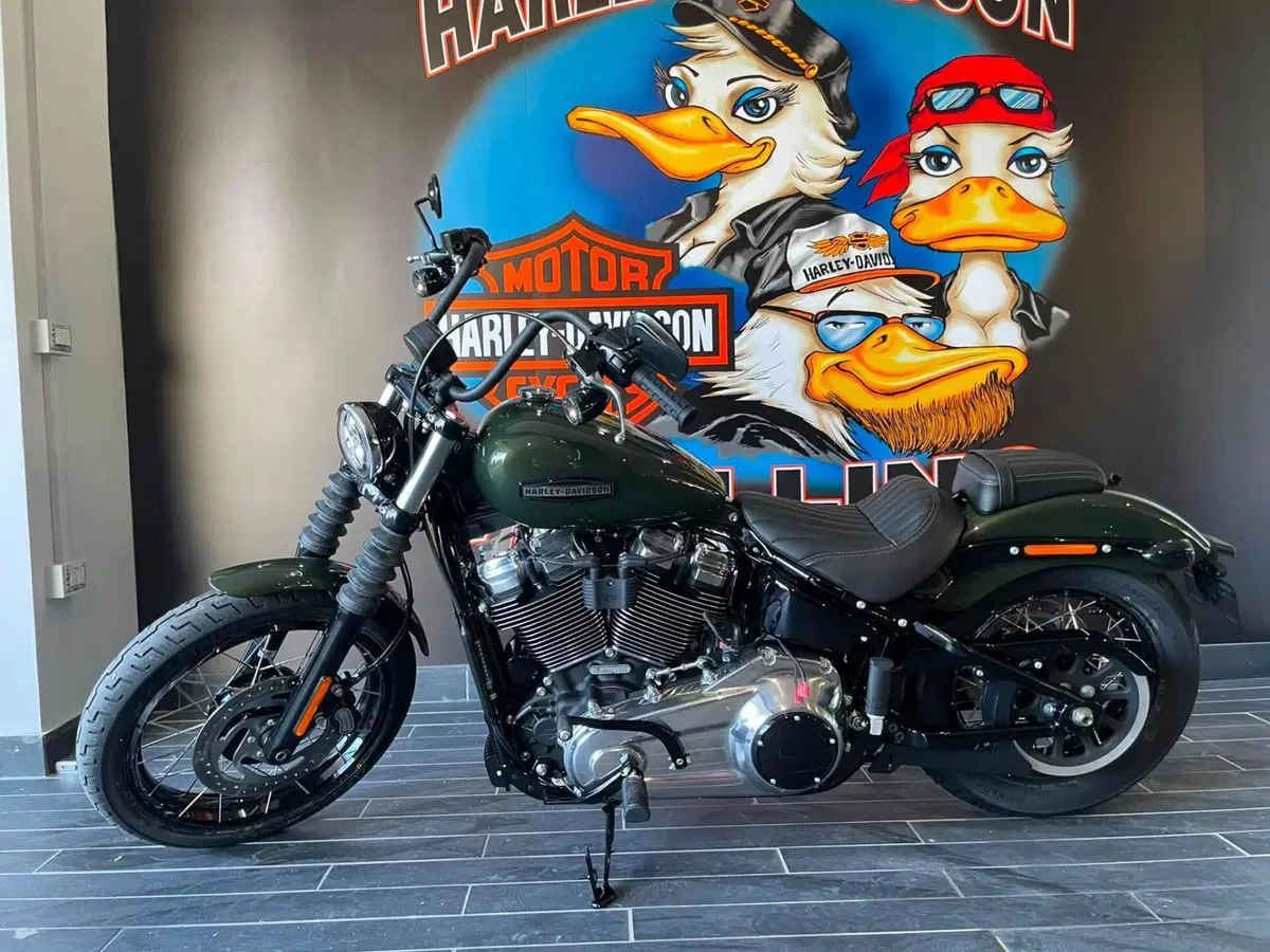 Harley-Davidson Street Bob 117 (2025 - 26) (2)