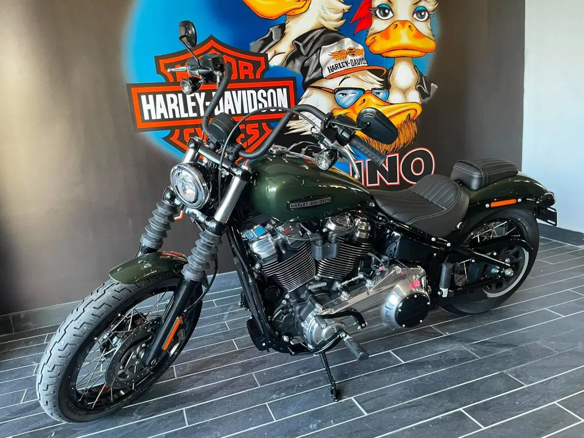 Harley-Davidson Street Bob 117 (2025 - 26) (3)