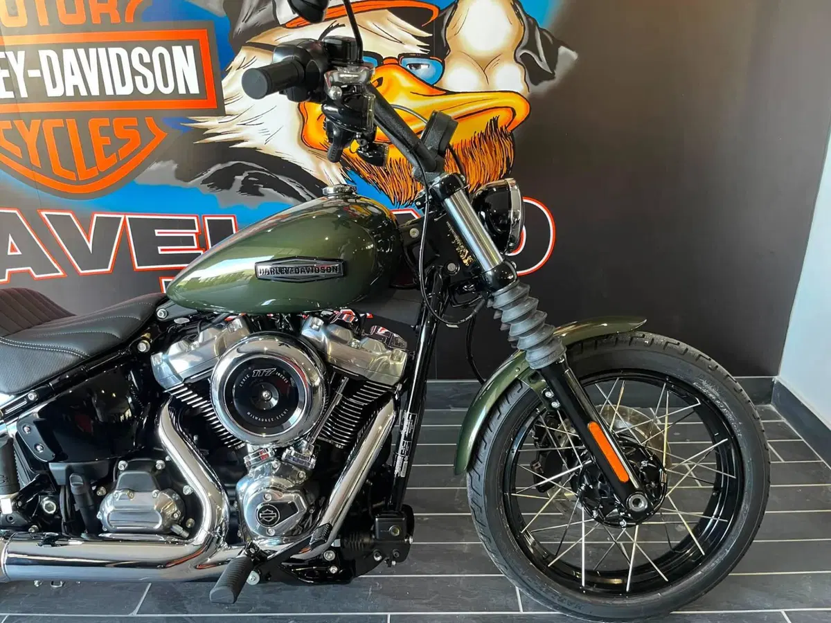 Harley-Davidson Street Bob 117 (2025 - 26) (4)