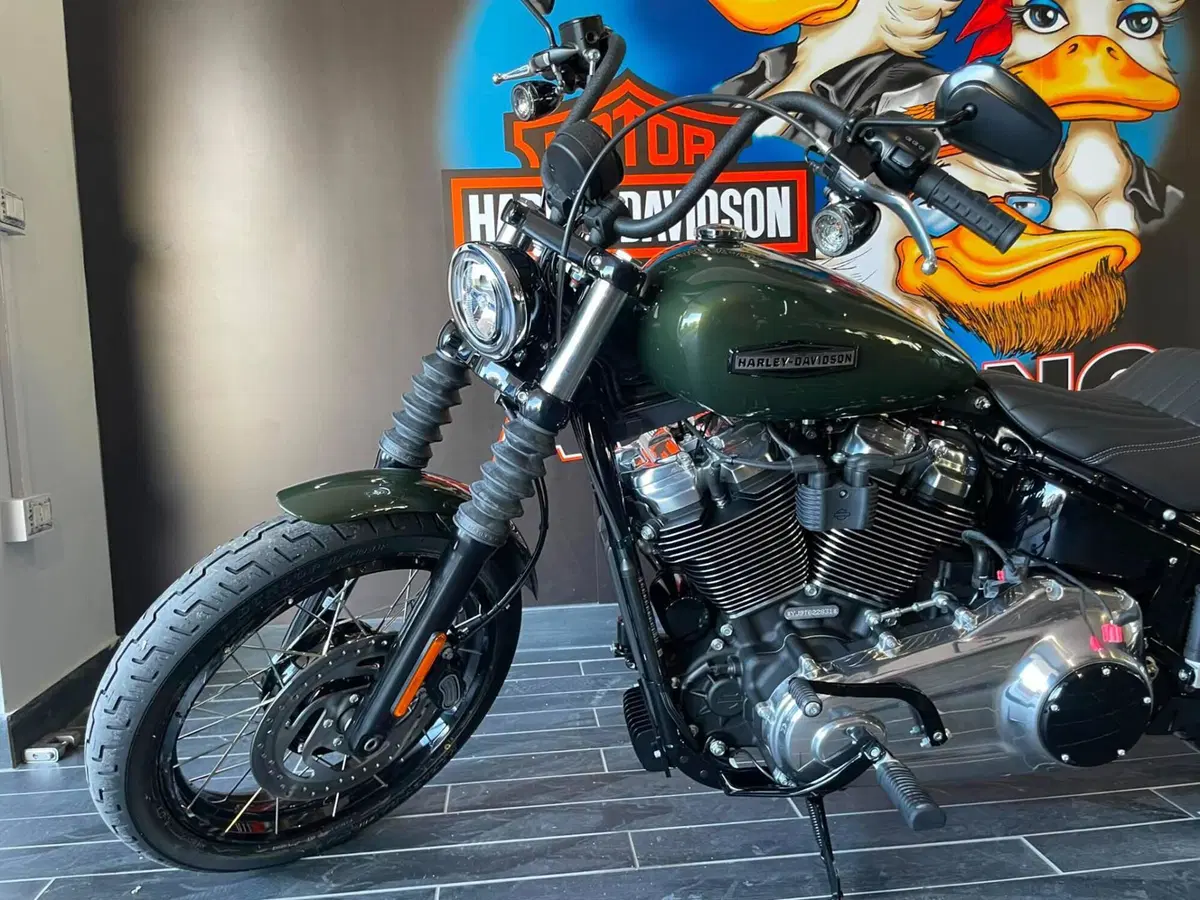 Harley-Davidson Street Bob 117 (2025 - 26) (5)