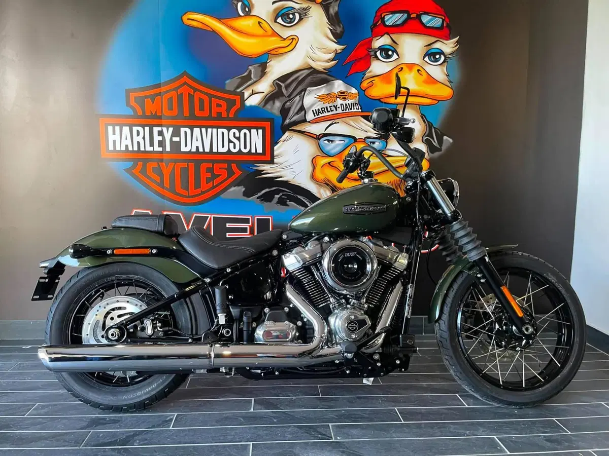 Harley-Davidson Street Bob 117 (2025 - 26) (6)