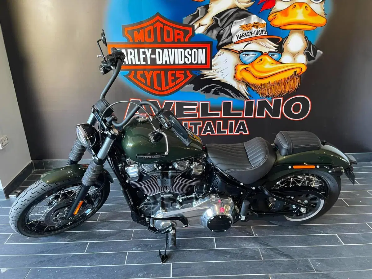 Harley-Davidson Street Bob 117 (2025 - 26) (7)