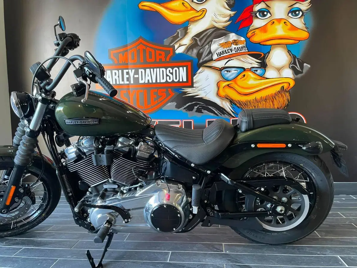 Harley-Davidson Street Bob 117 (2025 - 26) (8)