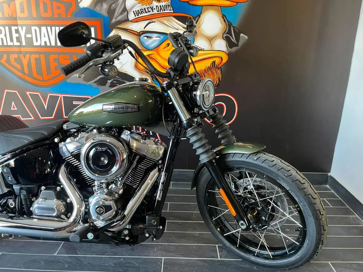 Harley-Davidson Street Bob 117 (2025 - 26) (9)