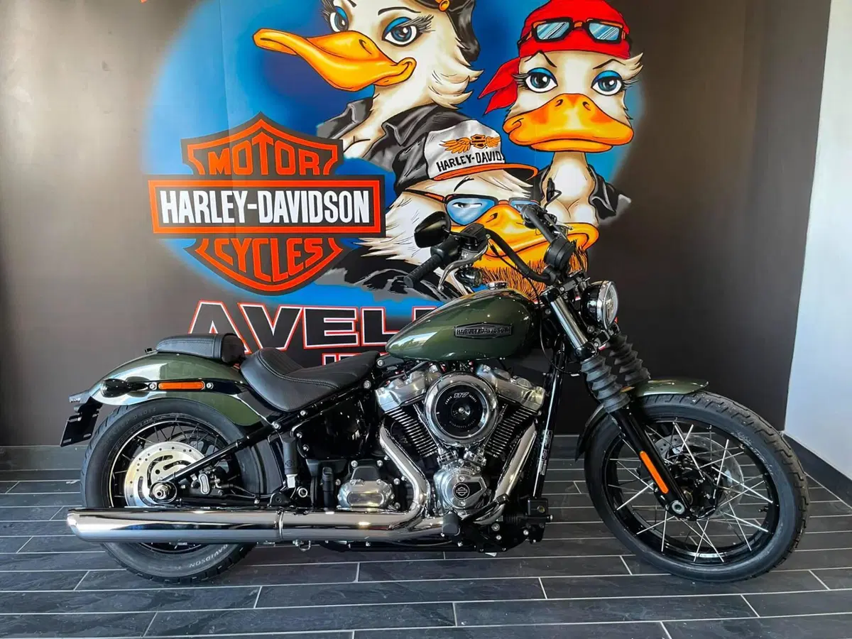 Harley-Davidson Street Bob 117 (2025 - 26) (10)