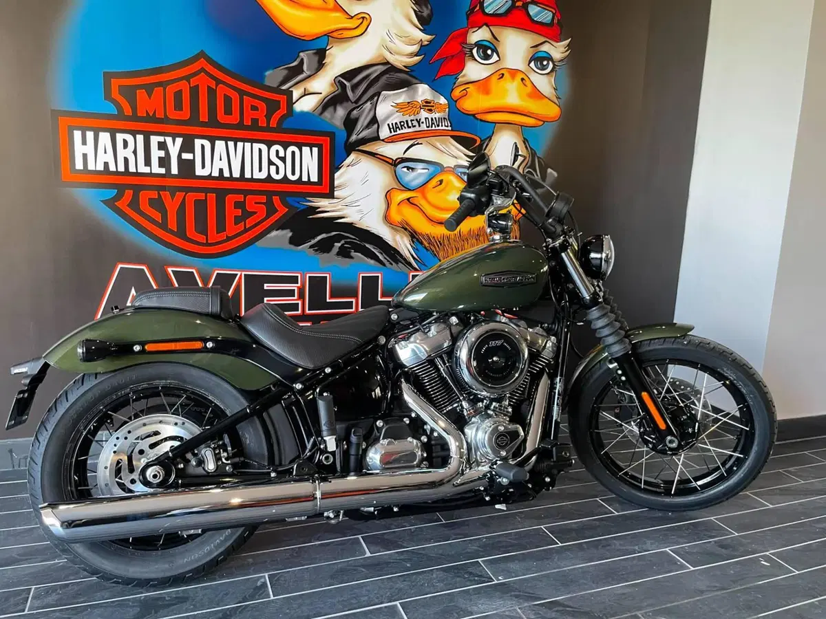 Harley-Davidson Street Bob 117 (2025 - 26)
