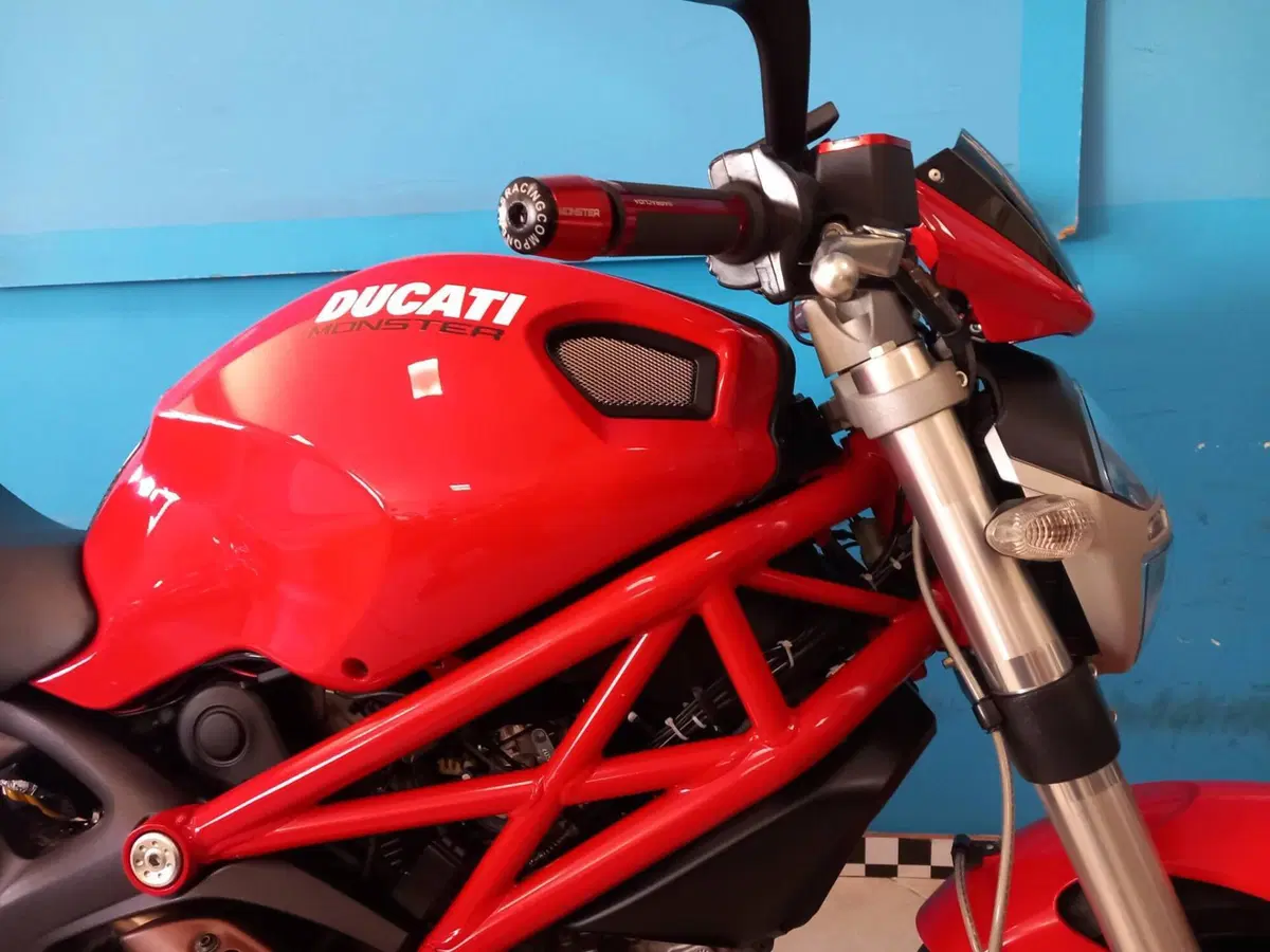Ducati Monster 696 (2008 - 13) (18)