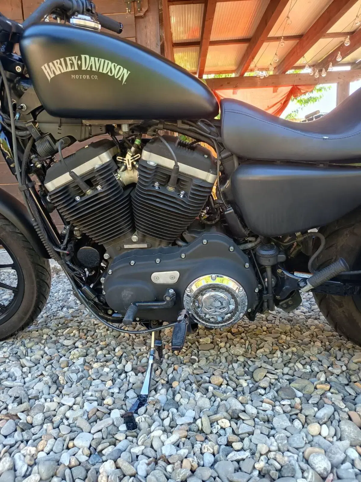 Harley-Davidson 883 Iron (2012 - 14) - XL 883N (3)