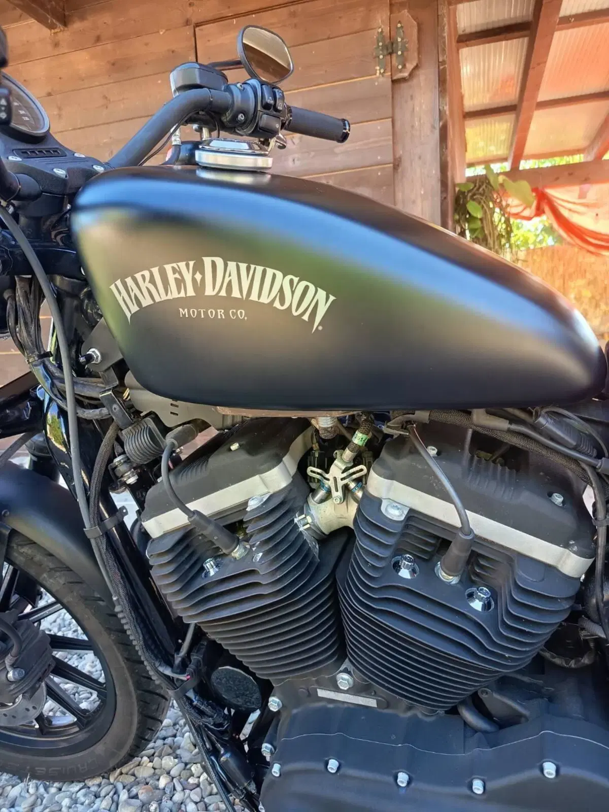 Harley-Davidson 883 Iron (2012 - 14) - XL 883N (4)