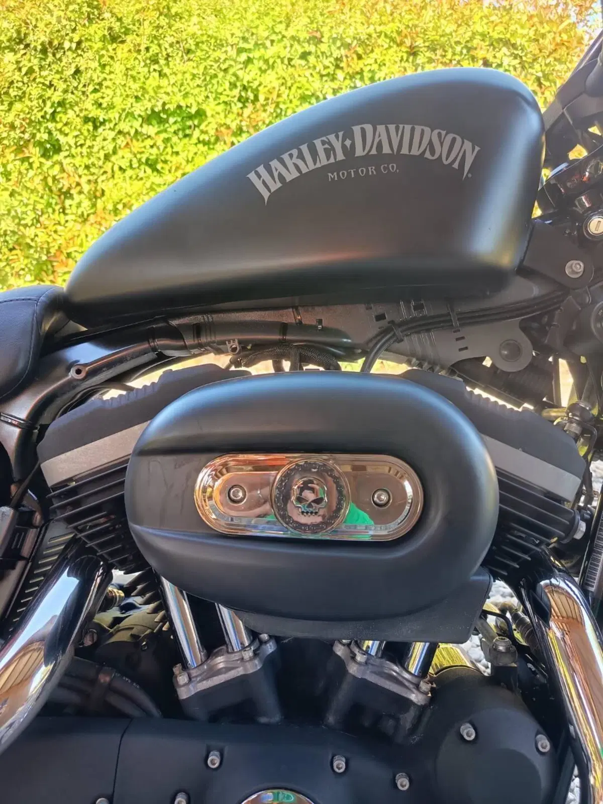 Harley-Davidson 883 Iron (2012 - 14) - XL 883N (5)