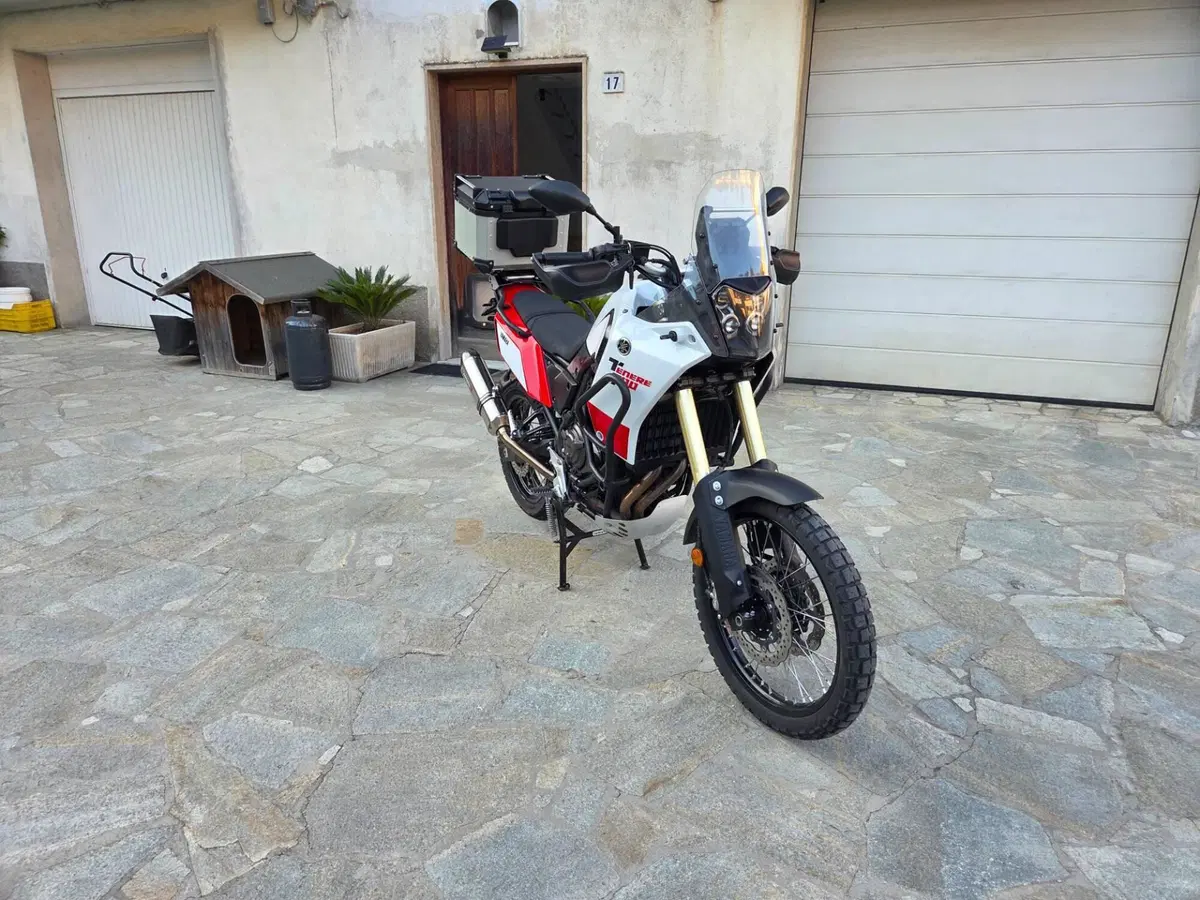 Yamaha Ténéré 700 (2019 - 20) (10)
