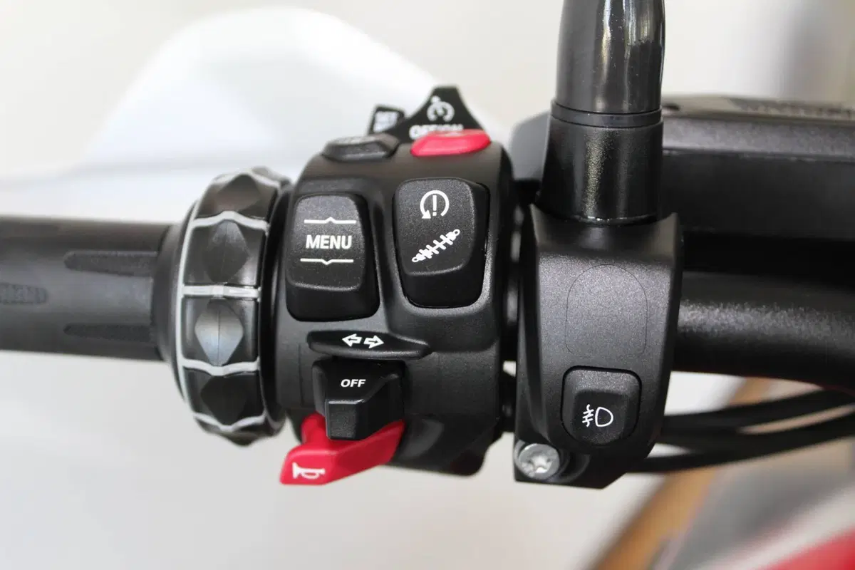 Bmw R 1250 GS Adventure (2021 - 24) (5)