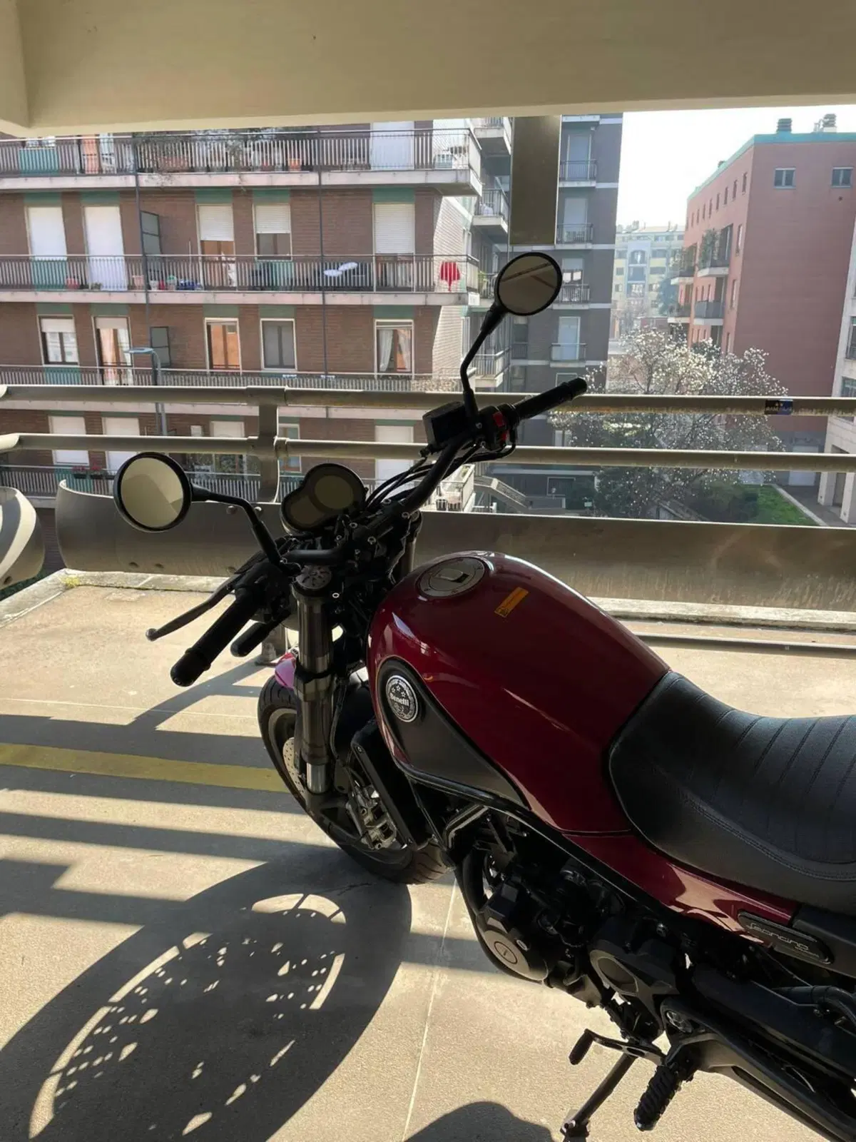 Benelli Leoncino 500 ABS (2017 - 20) (9)