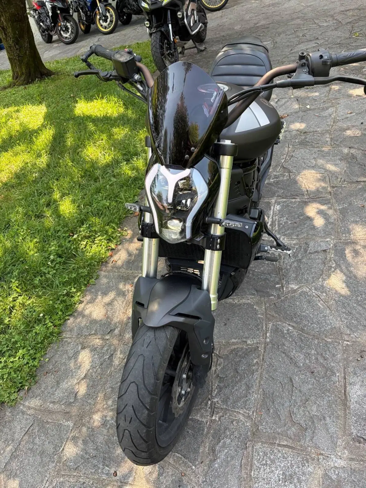Benelli 502 C (2019 - 20) (3)