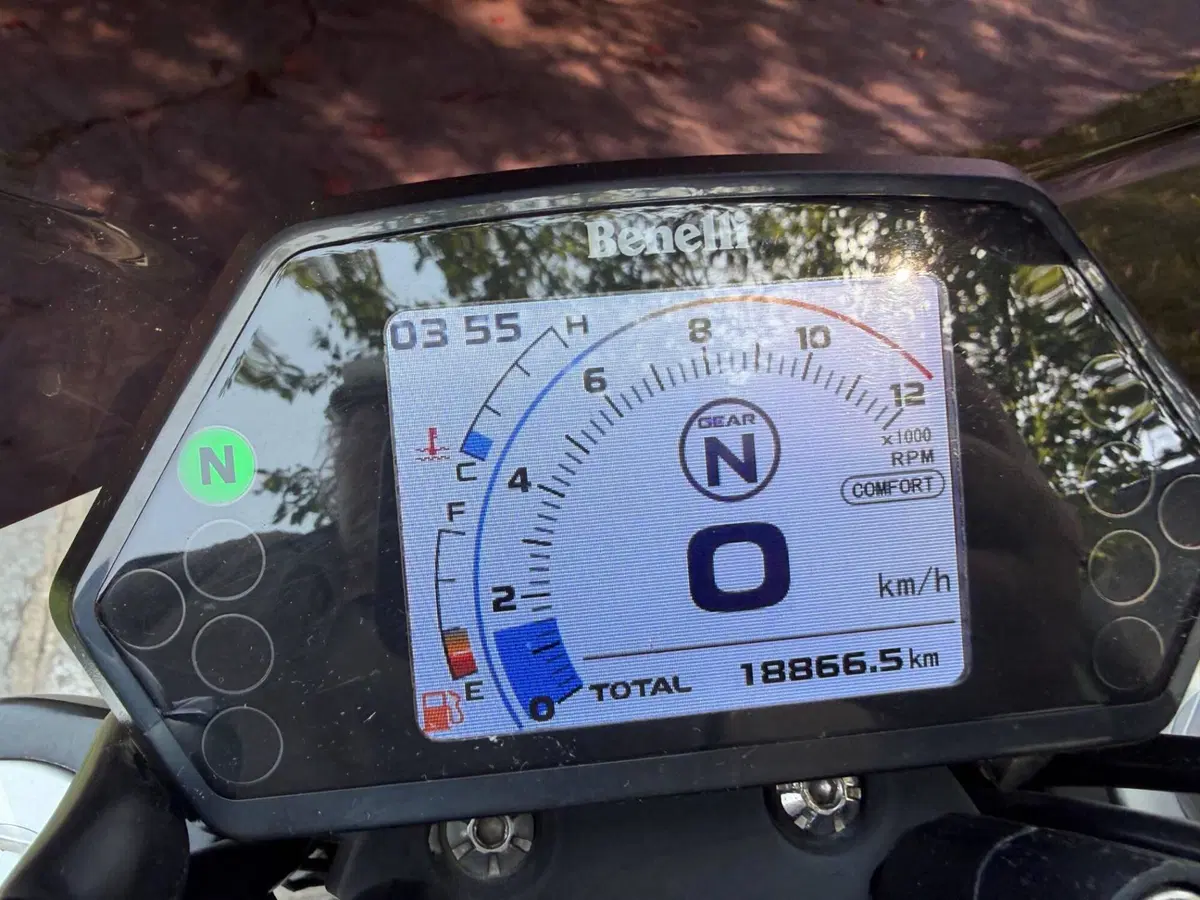 Benelli 502 C (2019 - 20) (6)