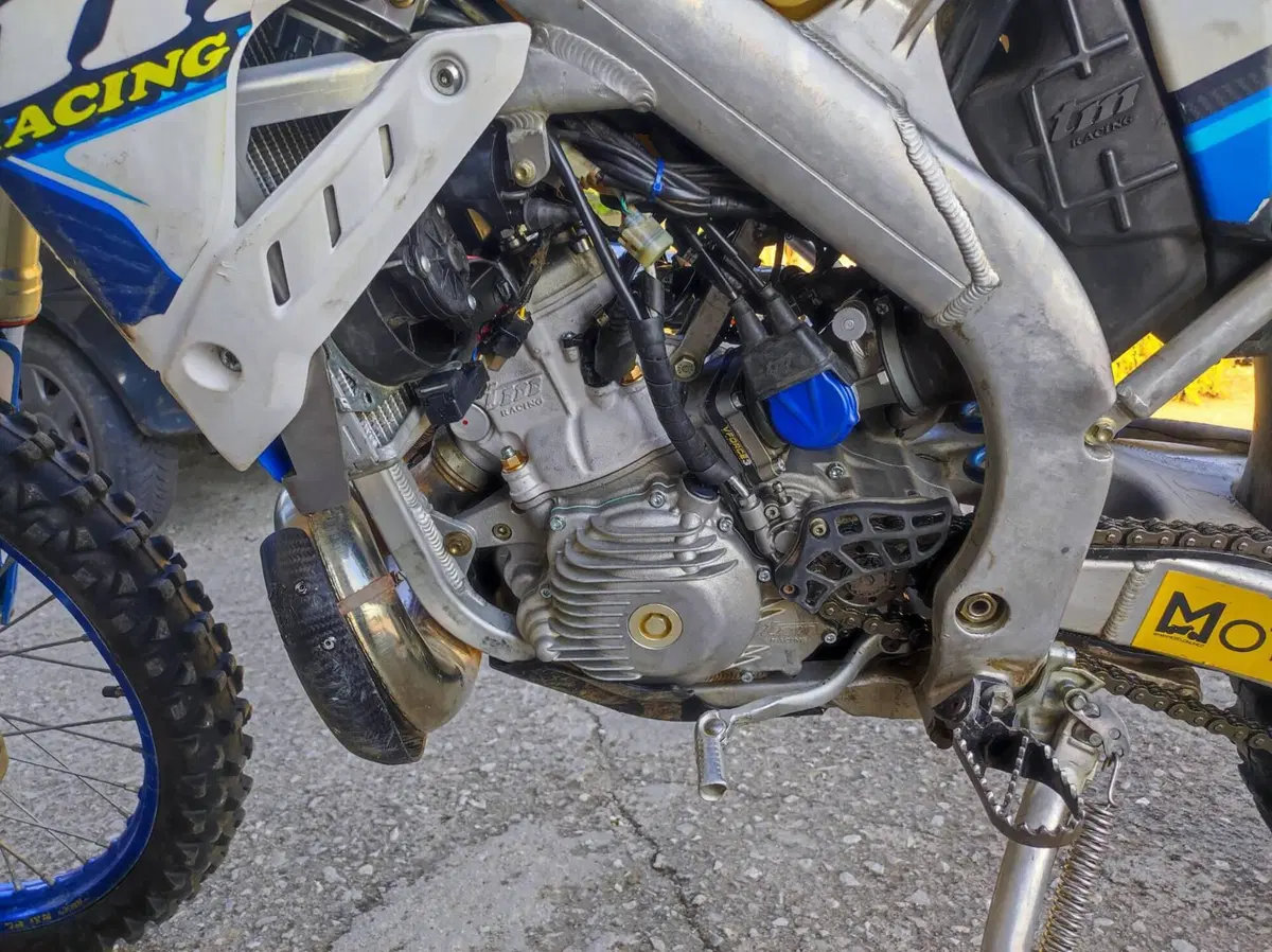 Tm Moto EN 300 Es 2t (2020) (6)