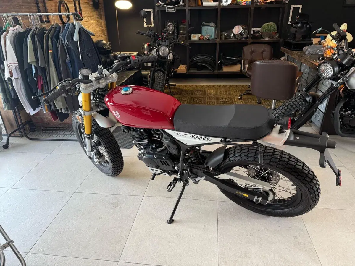 Mutt Motorcycles Razorback 125 (2021 - 25) (2)