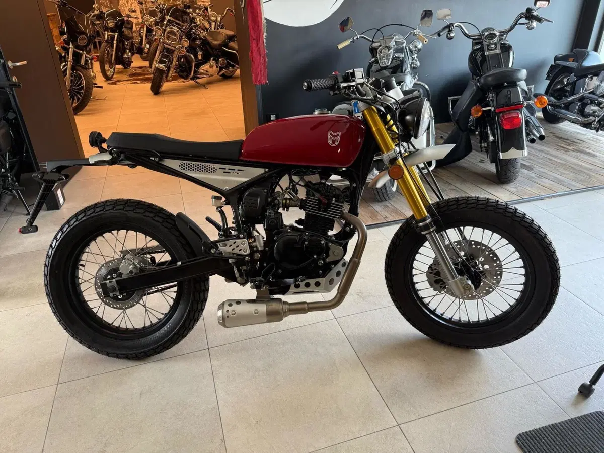Mutt Motorcycles Razorback 125 (2021 - 25) (5)