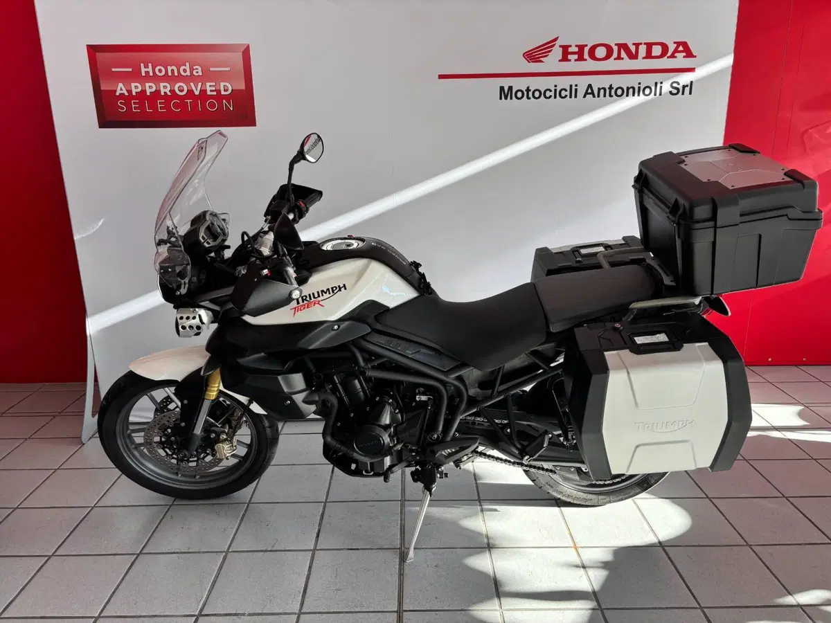 Triumph Tiger 800 ABS (2010 - 14) (2)